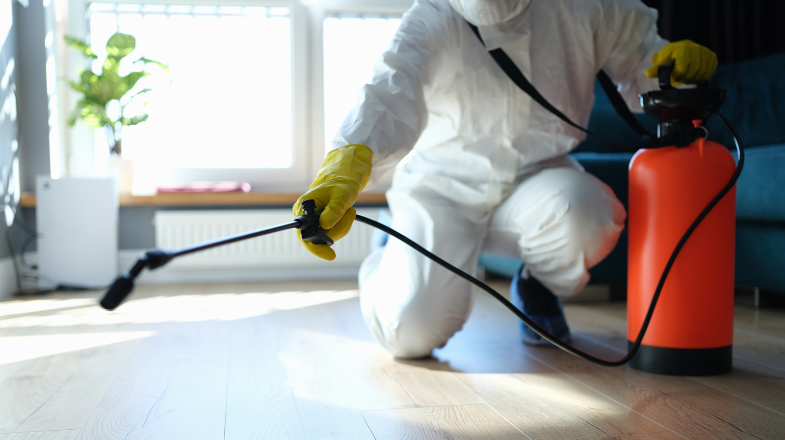 Evdeki Böcek Yuvaları Nasıl Bulunur? En Kritik 14 Nokta